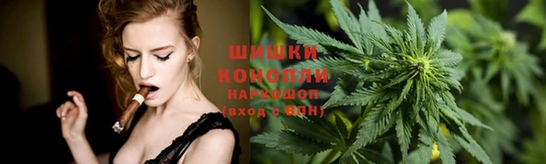 шишки Михайловка