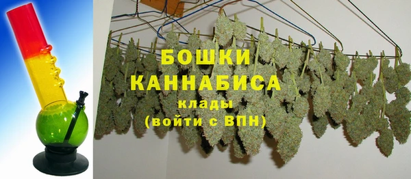 шишки Михайловка