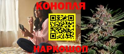 кокс Гай