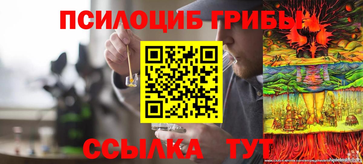 Галлюциногенные грибы ЛСД  Вход с VPN  Касимов  Псилоцибиновые грибы ЛСД 