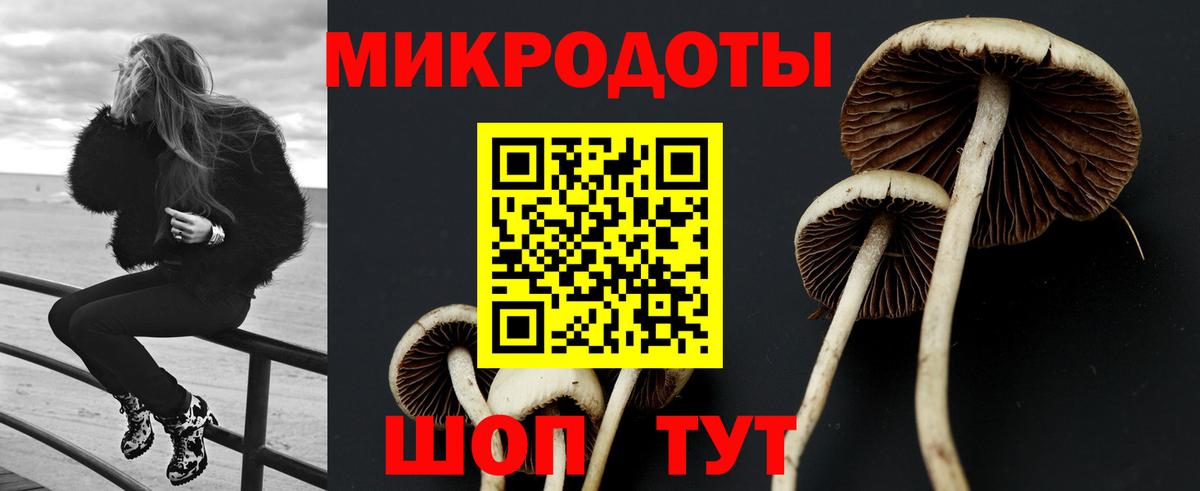 Псилоцибиновые грибы мухоморы Касимов