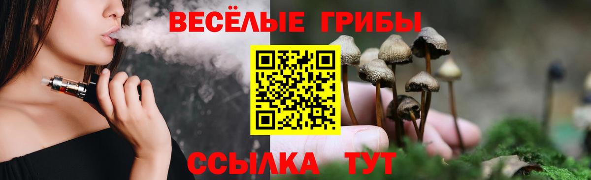 Псилоцибиновые грибы мицелий  Касимов  Галлюциногенные грибы Psilocybine cubensis 